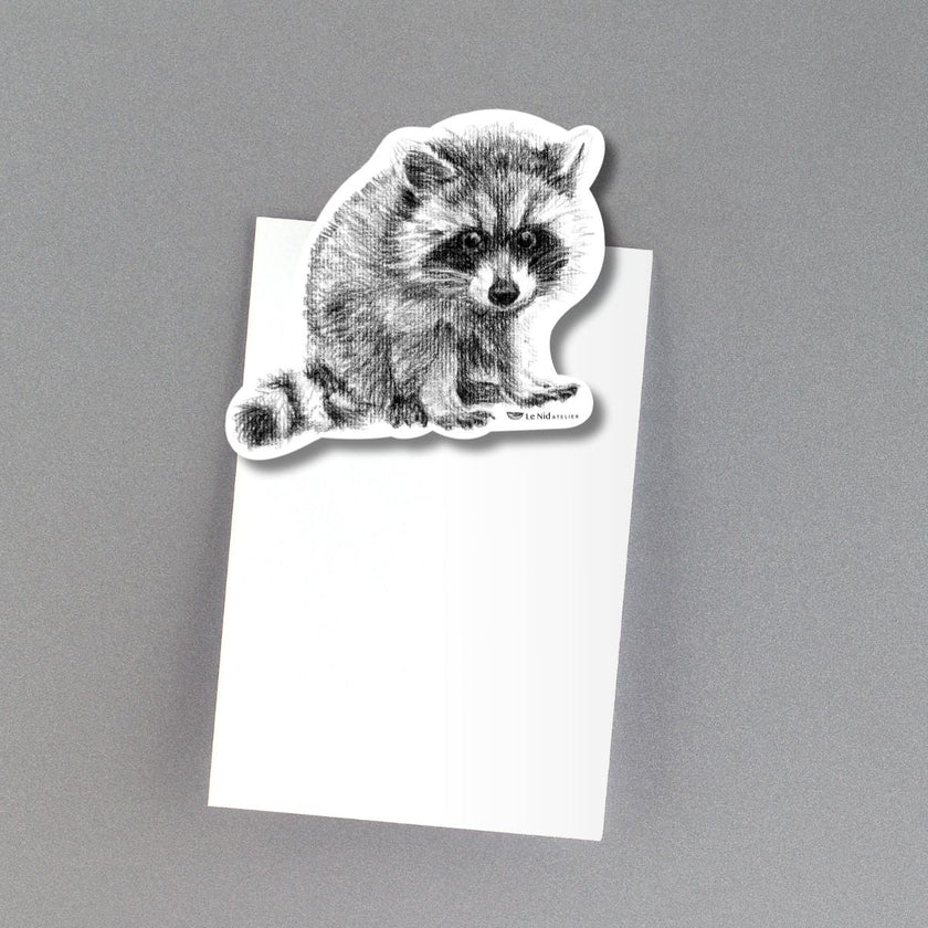 Adorable Raccoon Magnet