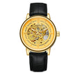 Men's Hollow-Out Mechanical Watch, Skeleton Dial Dress Watch in Gold, Silver and Black