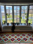 Afghan Maymana Kilim Runner | 8' 2