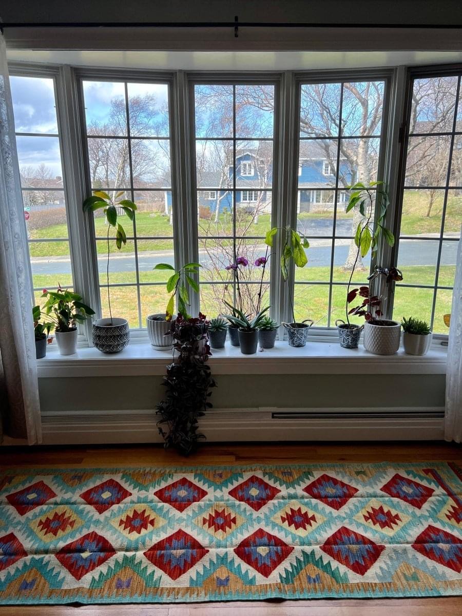 Afghan Maymana Kilim Runner | 8' 2