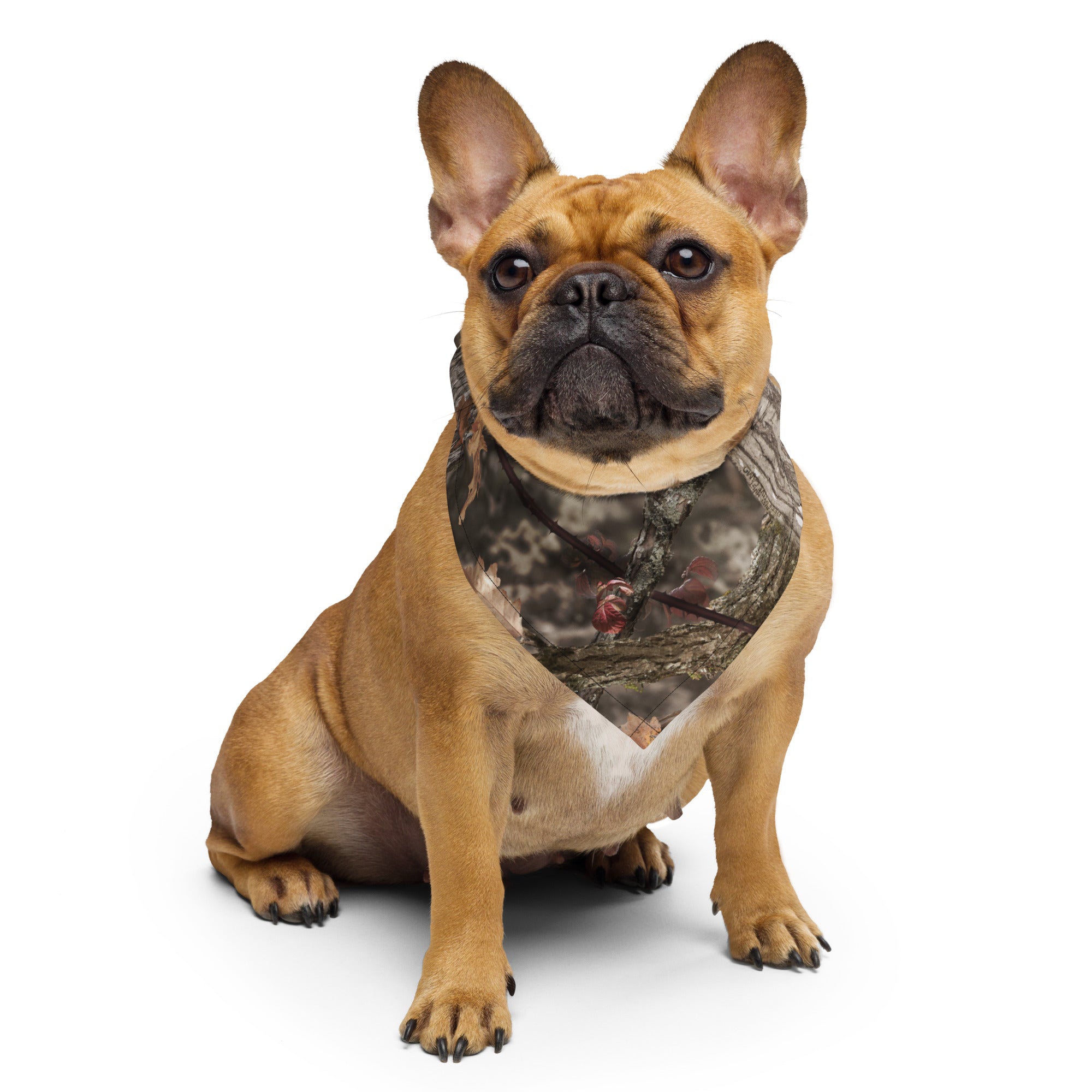 Deceptive Camo Bandana