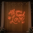 All You Need is Love V1 Neon Sign