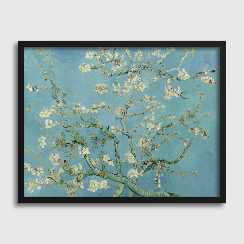 Almond Blossoms