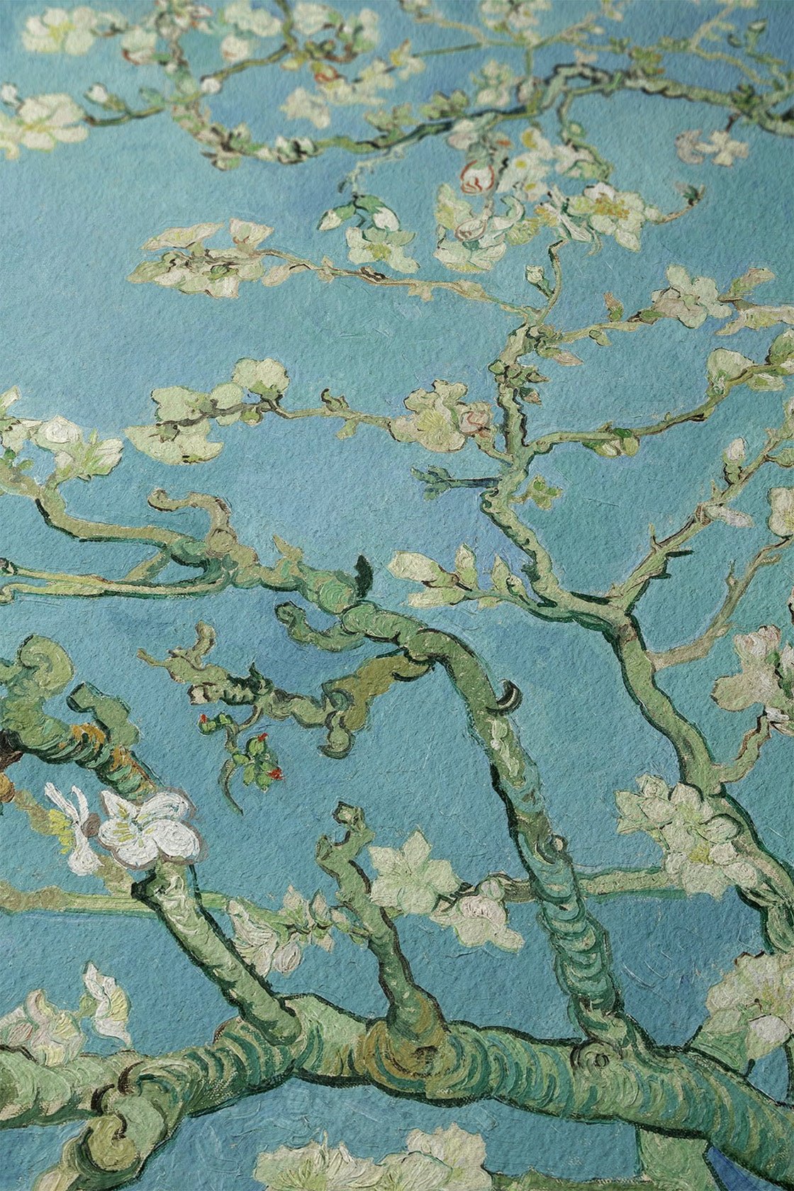 Almond Blossoms