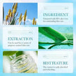 Aloe Pore Clear Solid Mask Cleaning