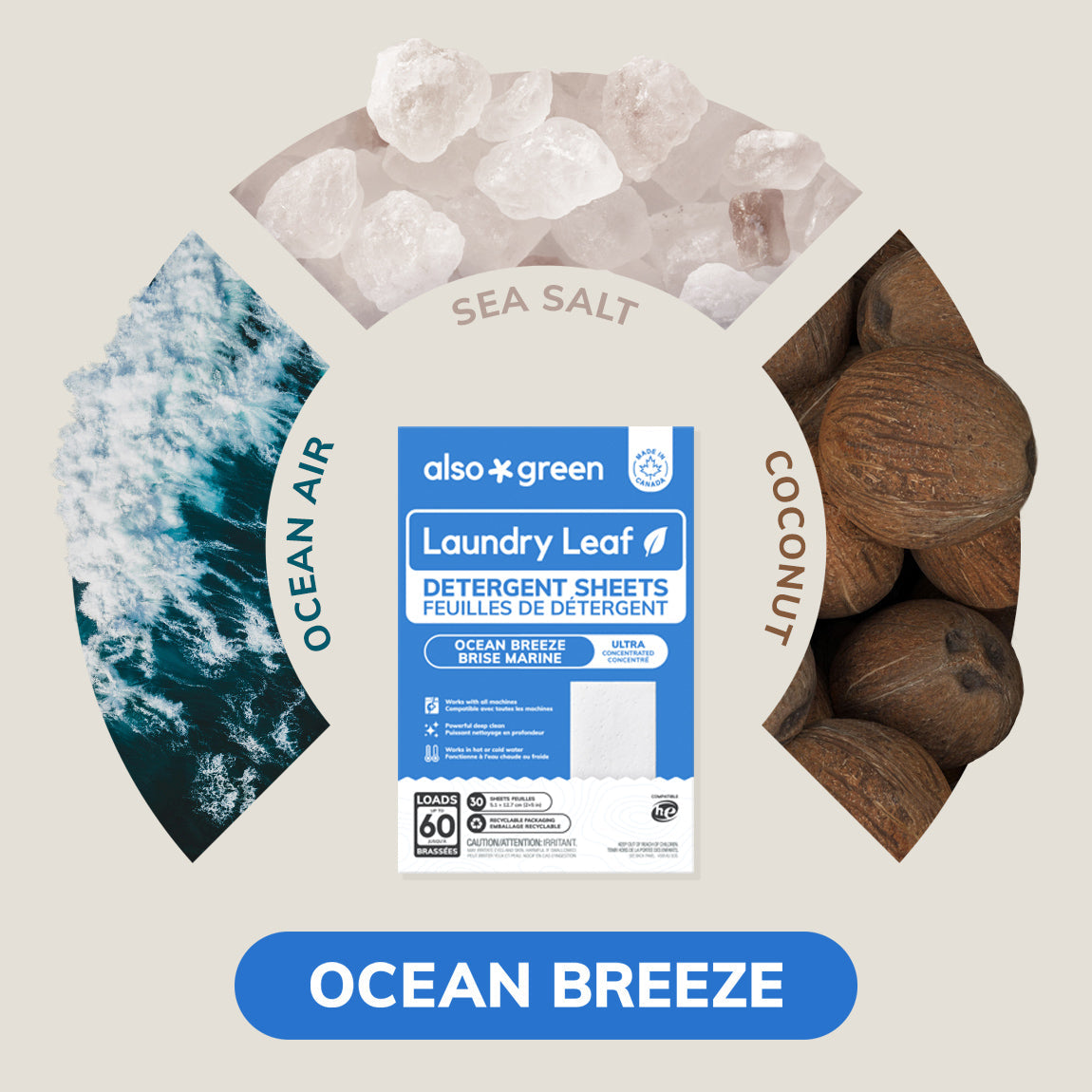Laundry Detergent Sheets