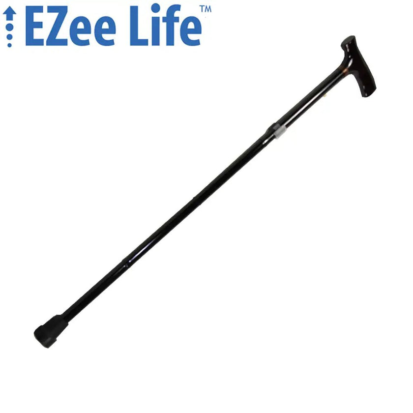 Aluminum Cane - 