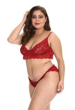 Amazon exclusively for lingerie