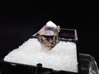Amethyst Scepter – Goboboseb Mountains, Namibia – Phantom Inclusions – Micro Specimen (16mm)