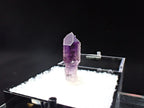 Amethyst with Analcime – Goboboseb Mountains, Namibia – Deep Purple Scepter – Micro Specimen (19mm)
