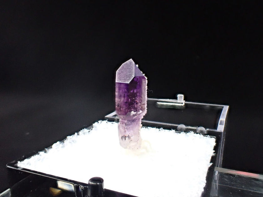 Amethyst with Analcime – Goboboseb Mountains, Namibia – Deep Purple Scepter – Micro Specimen (19mm)