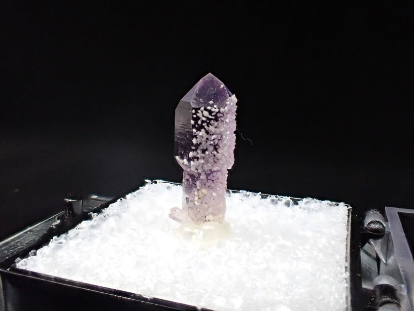 Amethyst with Analcime – Goboboseb Mountains, Namibia – Deep Purple Scepter – Micro Specimen (19mm)