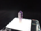 Amethyst with Analcime – Goboboseb Mountains, Namibia – Deep Purple Scepter – Micro Specimen (19mm)