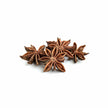Star Anise Grade A – Premium Whole Spice