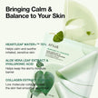 Anua Heartleaf 77% Soothing Mask 25ml - 1 PC