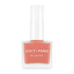 APIEU Juicy Pang Water Blusher 9g