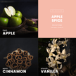 Apple Spice Candle | Fresh Apple + Cinnamon