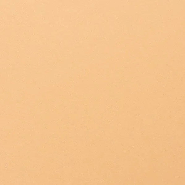 Clairefontaine - Maya Cardstock 120lb Paper - 20x28