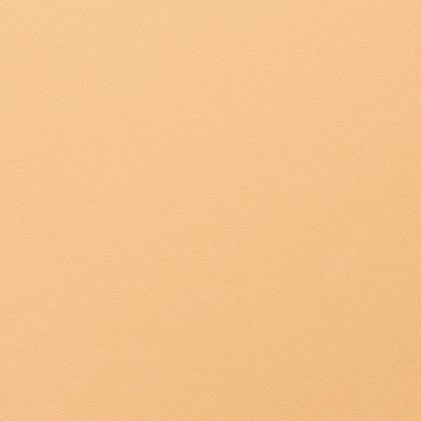 Clairefontaine - Maya Cardstock 120lb Paper - 8¼x11¾