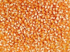 50 lbs Bulk Premium Organic Yellow Popcorn Kernels (Product of Canada)
