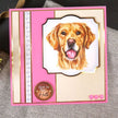 Pawsome Portraits Adorable Scorable Selection