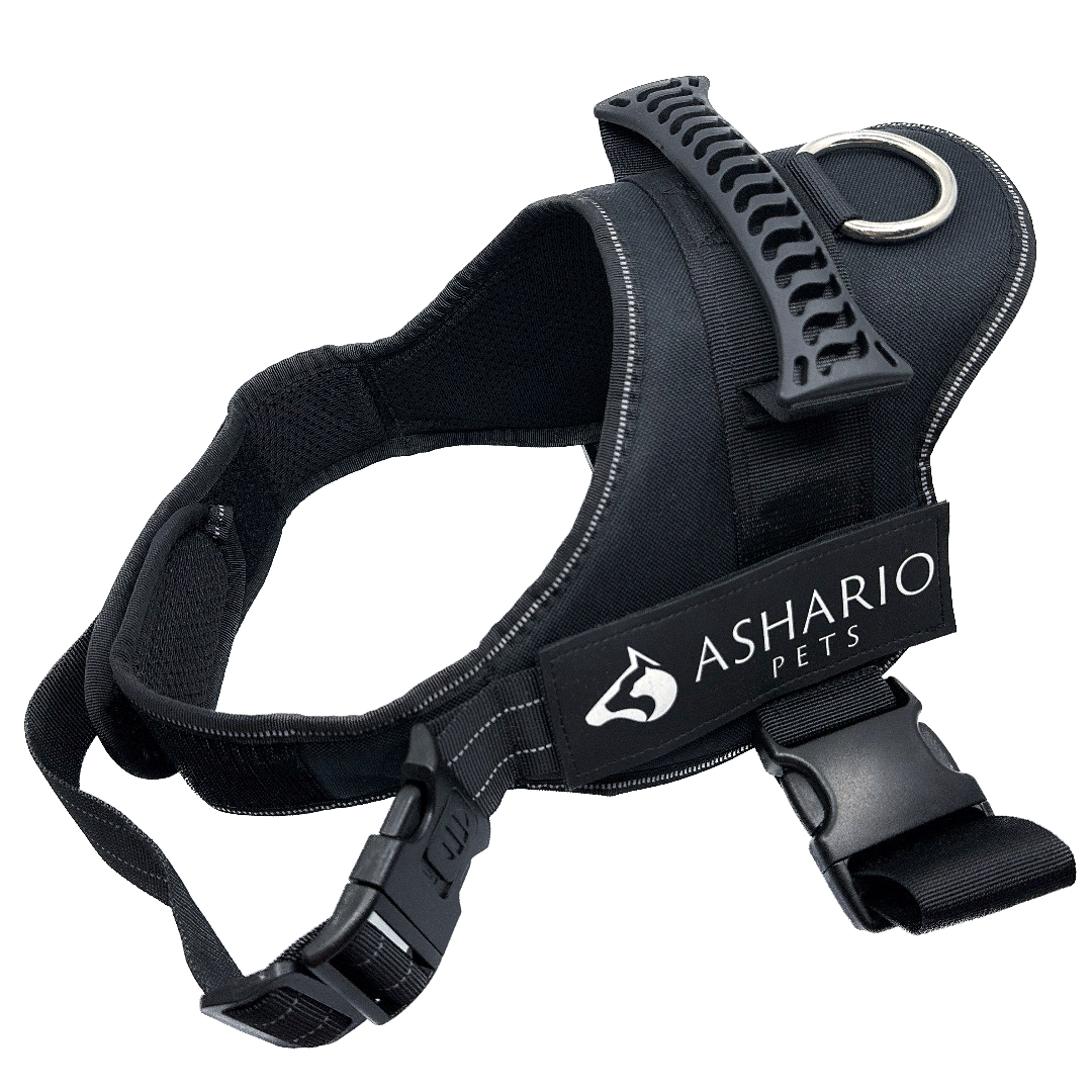 Ashario Pets - 