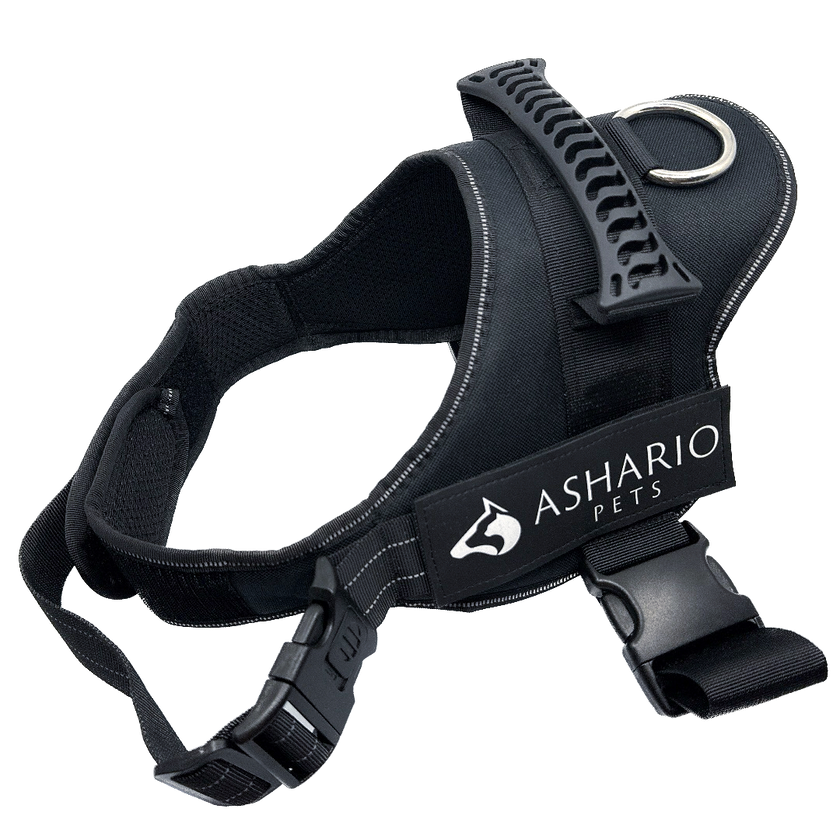 Ashario Pets - 