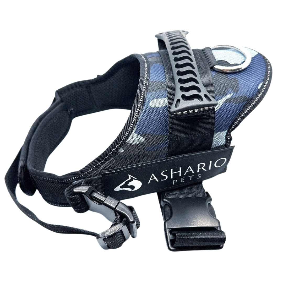 Ashario Pets - 
