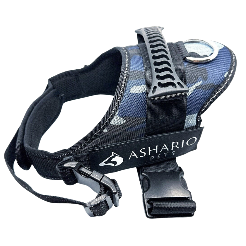 Ashario Pets - 