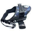 Ashario Pets - 