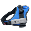 Ashario Pets - 