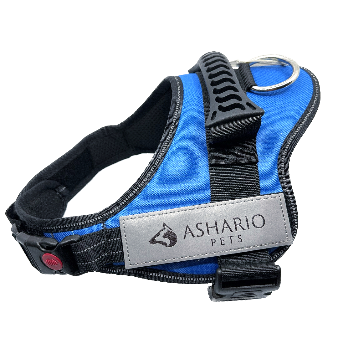 Ashario Pets - 