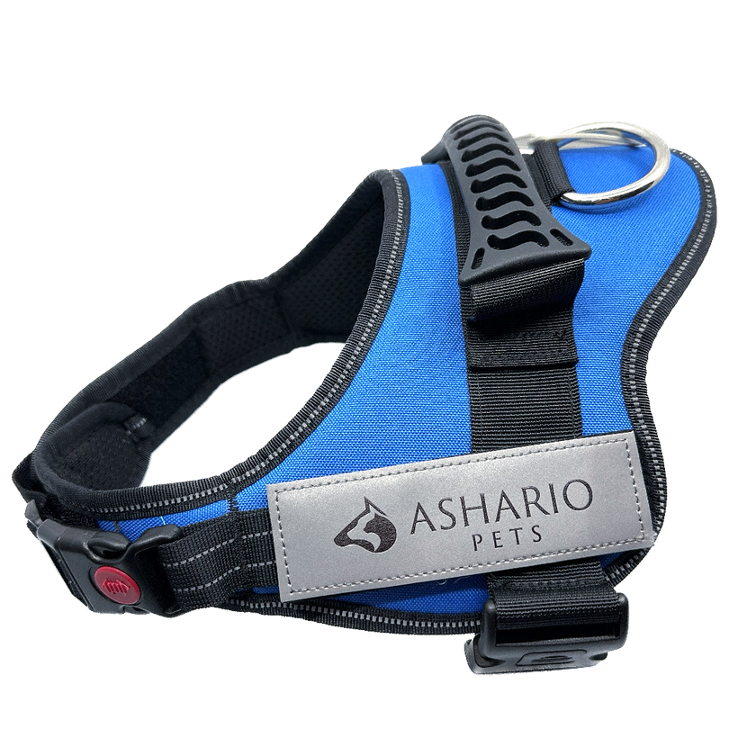 Ashario Pets - 