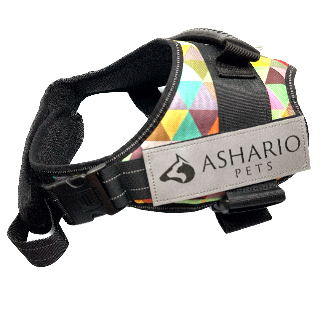 Ashario Pets - 
