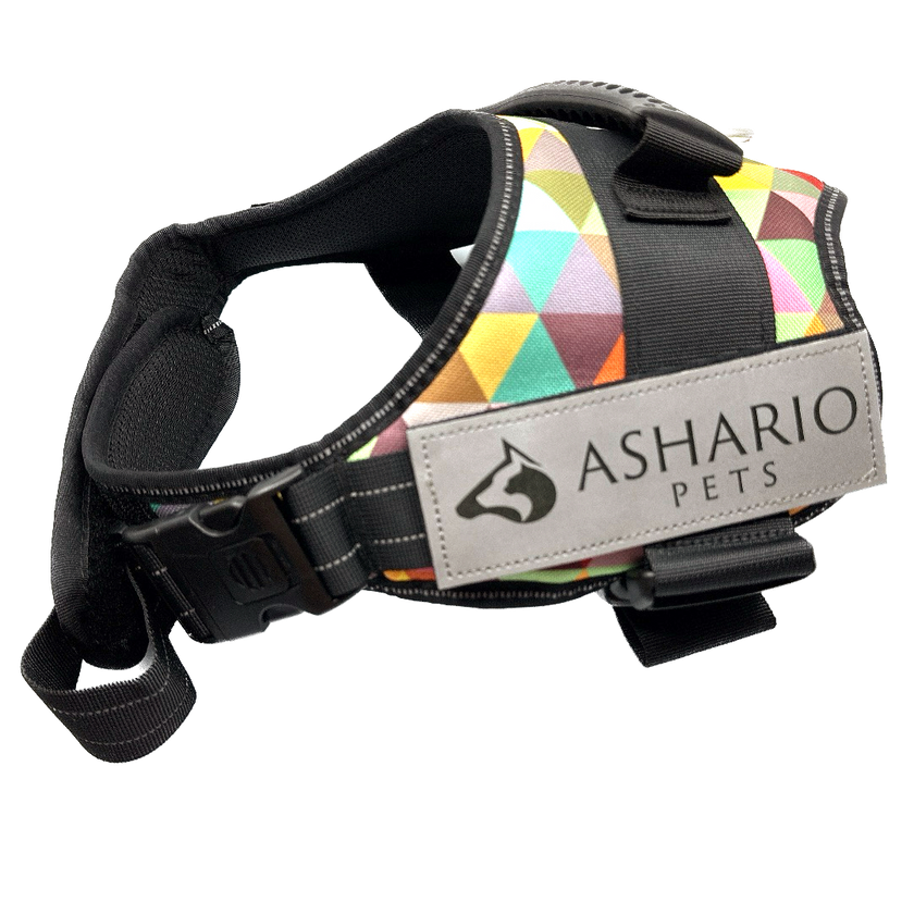 Ashario Pets - 