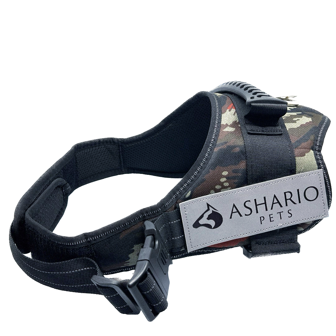 Ashario Pets - 
