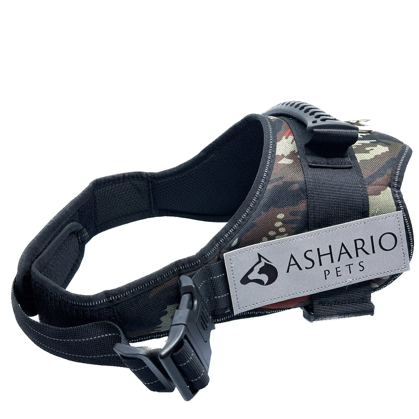 Ashario Pets - 