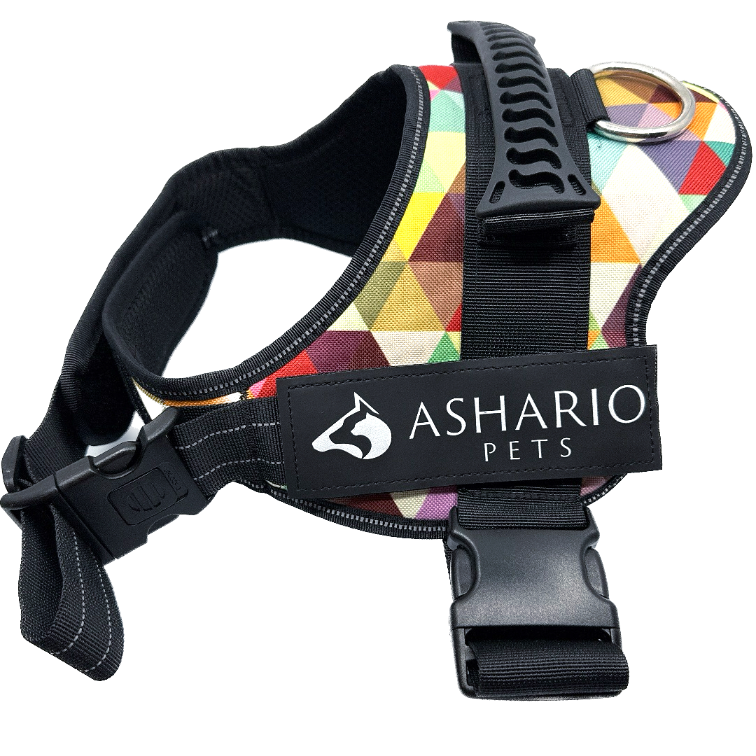 Ashario Pets - 