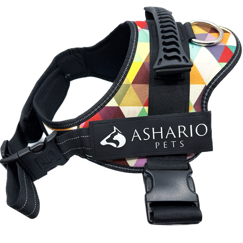 Ashario Pets - 