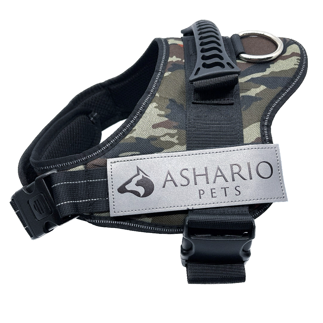 Ashario Pets - 