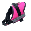 Ashario Pets - 