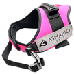 Ashario Pets - 