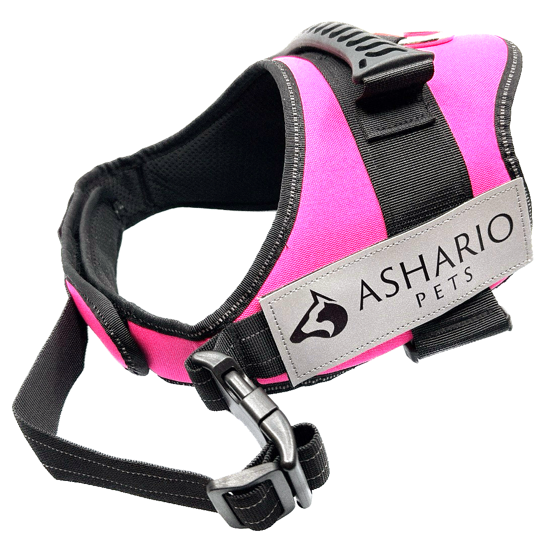 Ashario Pets - 