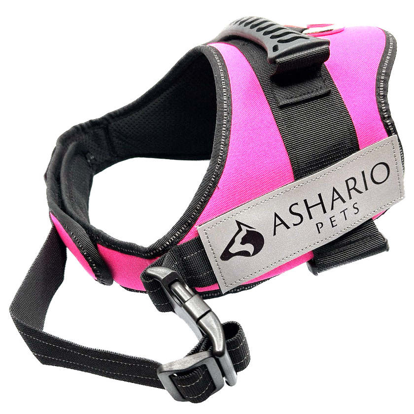 Ashario Pets - 