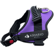 Ashario Pets - 