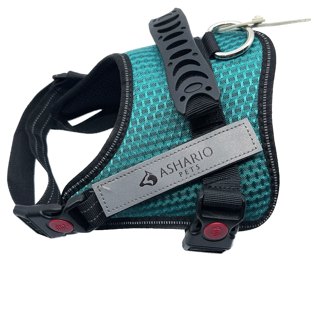 Ashario Pets - 