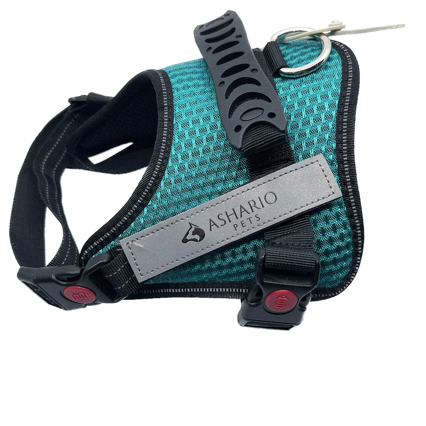 Ashario Pets - 