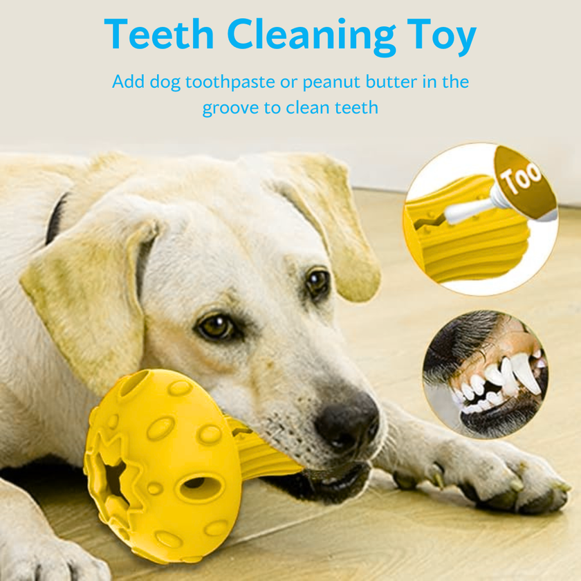 Ashario Pets - Dispenser Toy - Mushroom