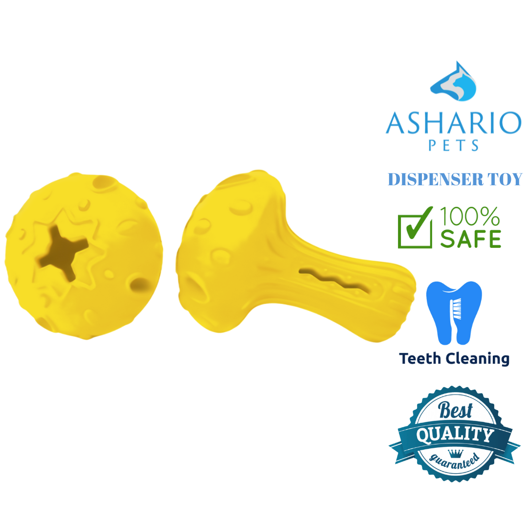 Ashario Pets - Dispenser Toy - Mushroom