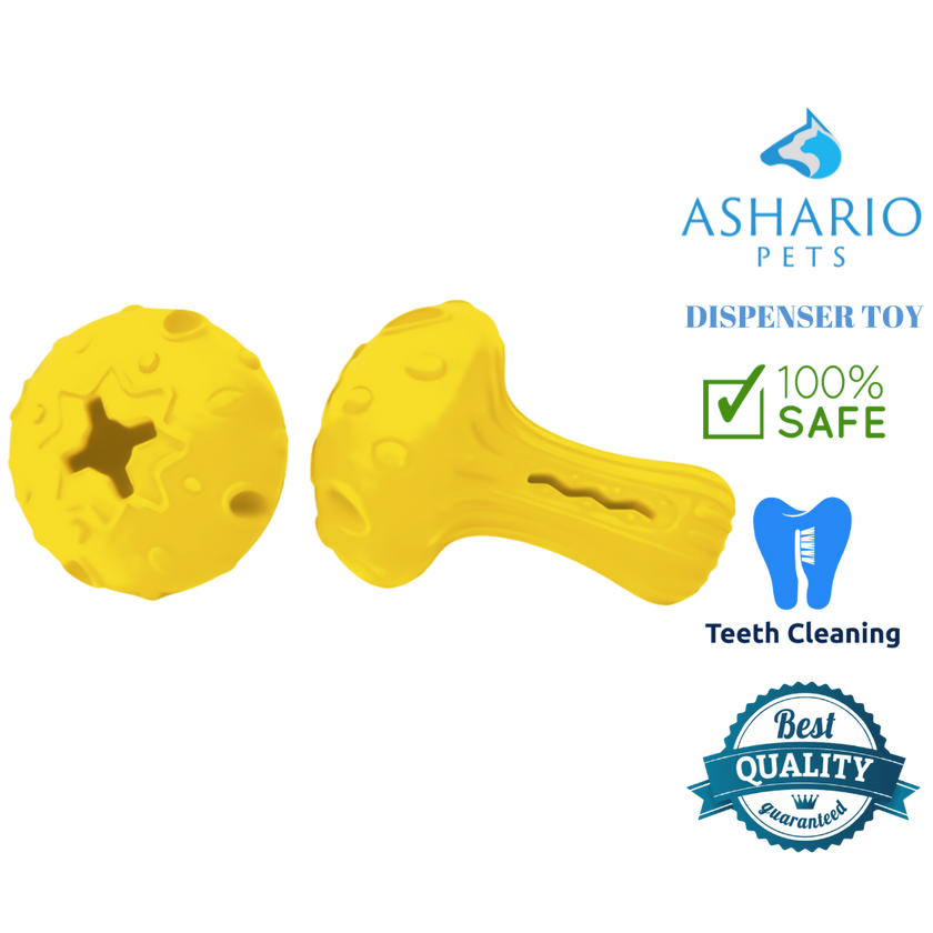 Ashario Pets - Dispenser Toy - Mushroom